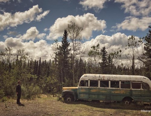 Su Sky Nature ‘Paolo Cognetti. Sogni di Grande Nord’, un viaggio dalle Alpi all’Alaska